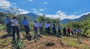 Grupo de personas reunidos por el desarrollo sostenible del agave