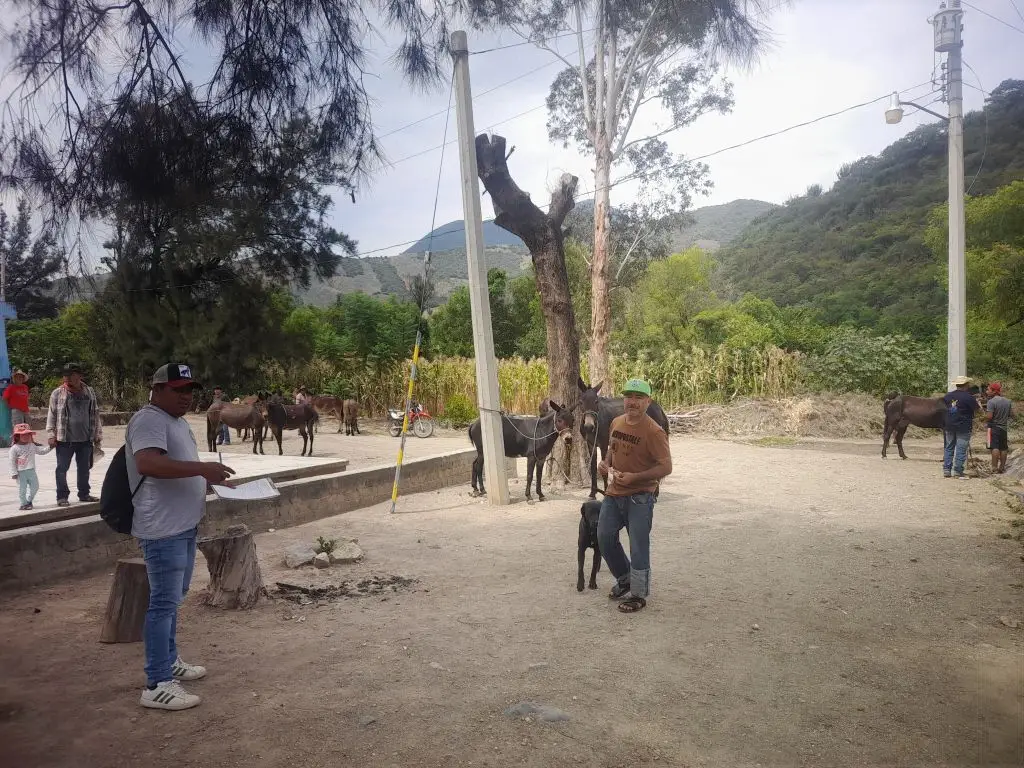 Foto representando la producción rural bajo un enfoque de paisaje, integrado por personas, animales, suelos, cultivos.