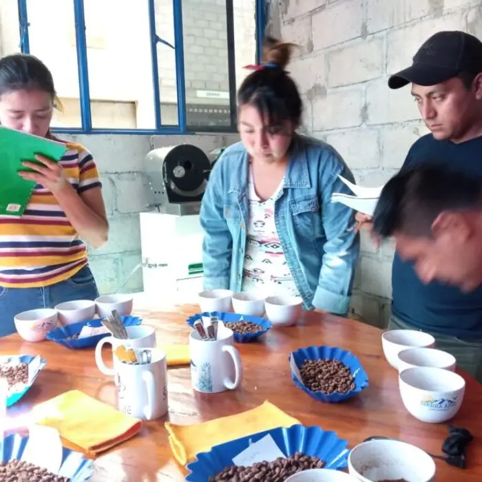 Jóvenes caficultores seleccionando granos de café