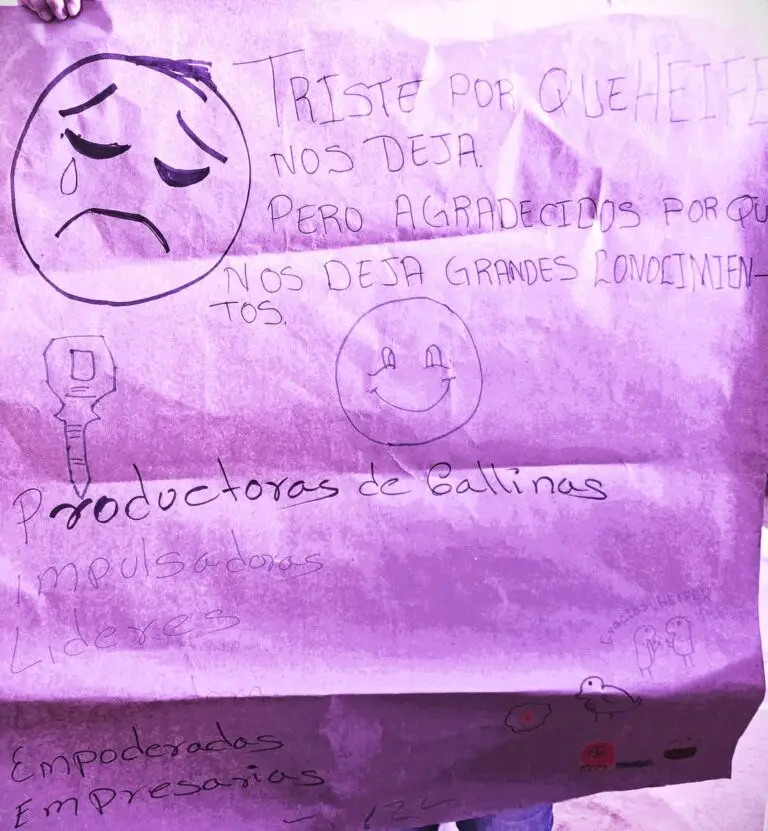 Mensaje triste pero con agradecimiento hacia Heife