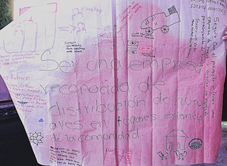 Propósitos sobre el proyecto de emprendimiento y producción de huevo escritos sobre una hoja de papel