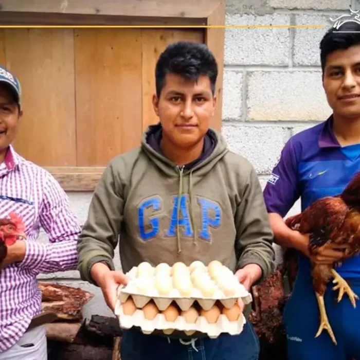 Hombres mostrando su producción avícola , huevos , gallo y gallina