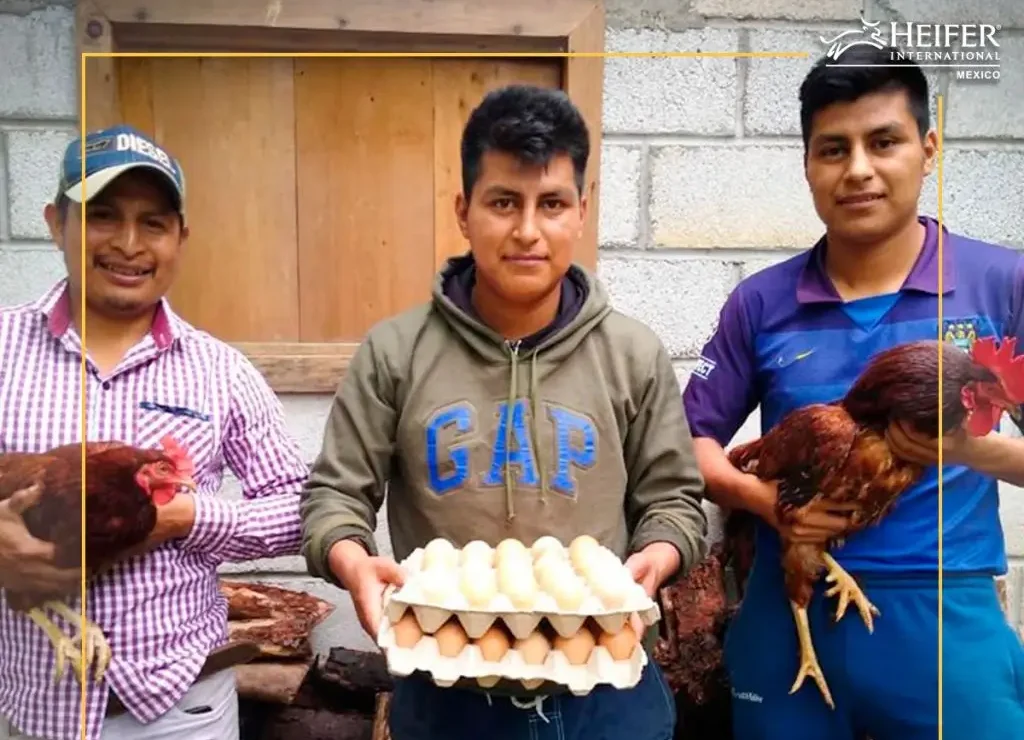 Hombres mostrando su producción avícola , huevos , gallo y gallina