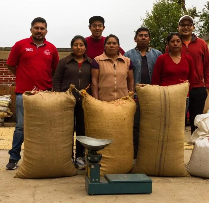 Familias cafetaleras beneficiadas con el fin de aumentar su producción