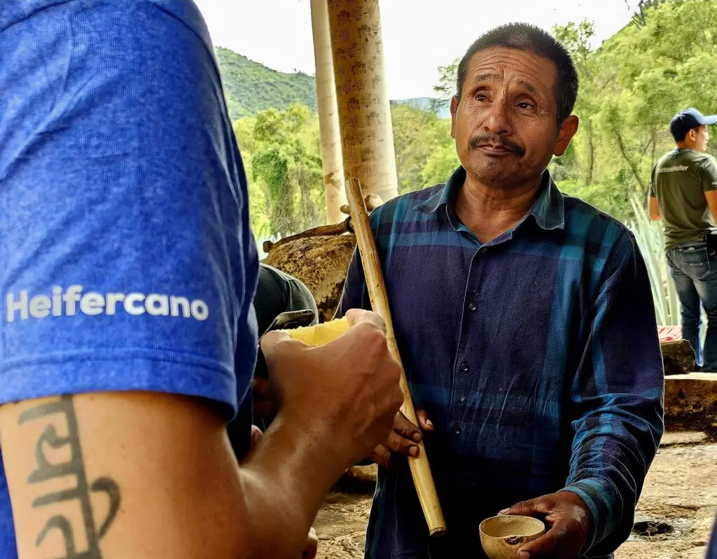 Vista en primer plano de una interacción al aire libre. Un hombre local con bigote y camisa a cuadros con prueba de mezcal.