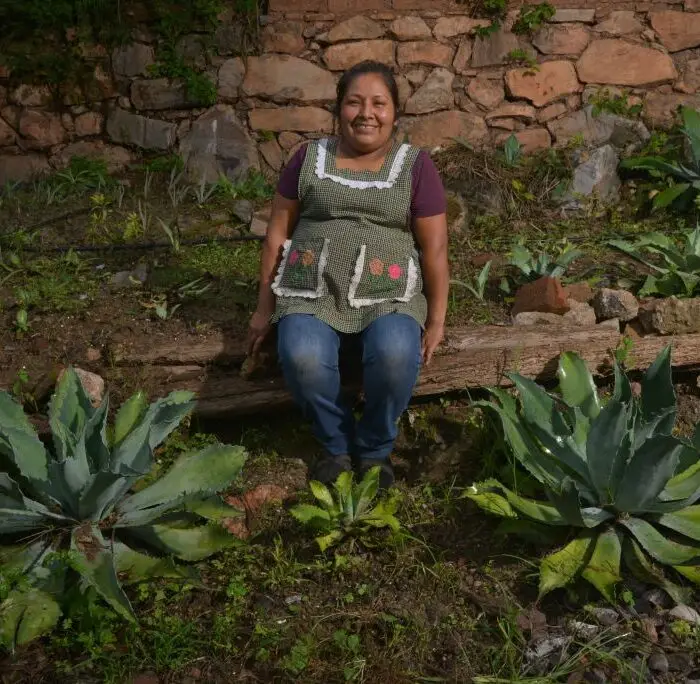 Blog_Mujeres-Rurales-Mexicanas_1