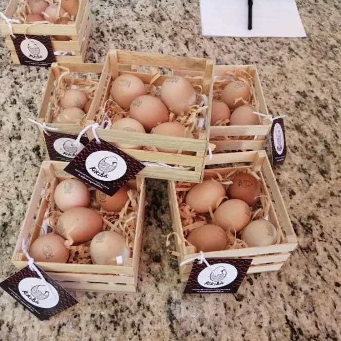 Blog_Se-reactiva-vinculación-comercial-de-emprendedoras-de-huevo-de-gallina-libre-de-jaula-con-Toks_2