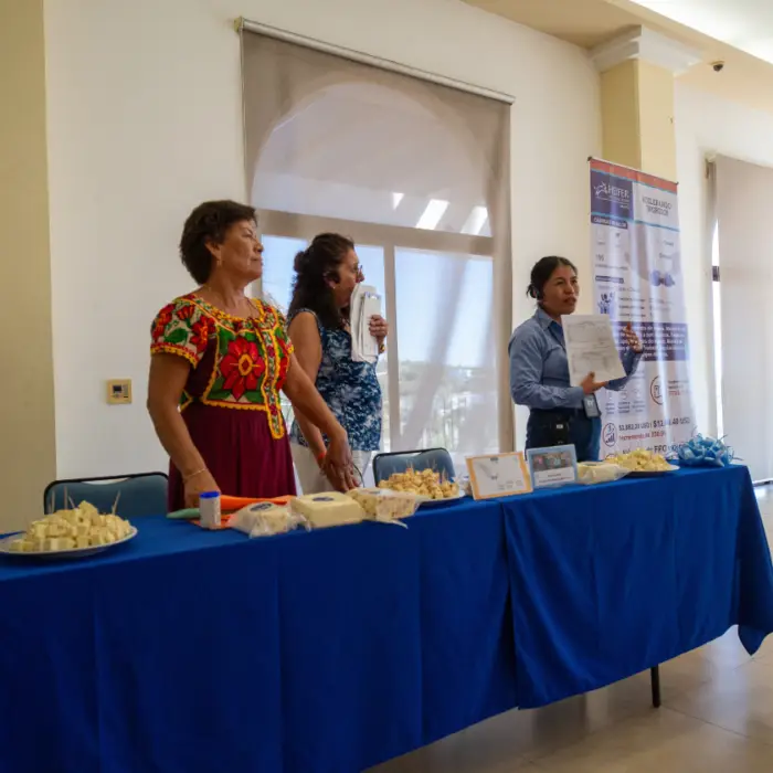 Representantes de Heifer México y productoras locales presentan quesos artesanales y otros productos derivados de la ganadería regenerativa durante un evento de intercambio de conocimientos y fortalecimiento de cadenas de valor rurales.