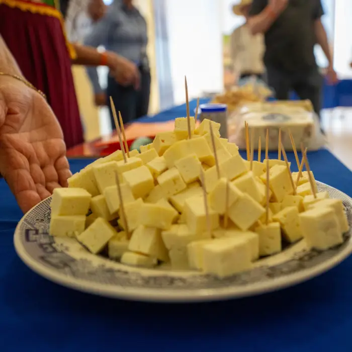 Plato con cubos de queso artesanal listos para degustación durante un evento de promoción de productos locales desarrollados por familias productoras participantes de Heifer México.