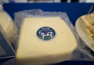 Queso artesanal elaborado por productores locales, exhibido como parte de una muestra de productos derivados de la ganadería impulsada por Heifer México.