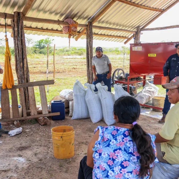 Personal técnico de Heifer México imparte una capacitación a productoras y productores rurales bajo una estructura abierta, junto a costales de insumos y maquinaria agrícola.