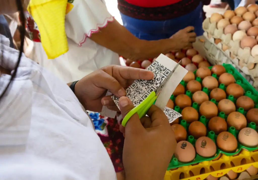 Persona recorta etiquetas con códigos QR mientras organiza y clasifica huevos frescos junto a otras mujeres, fortaleciendo la comercialización de productos avícolas comunitarios.