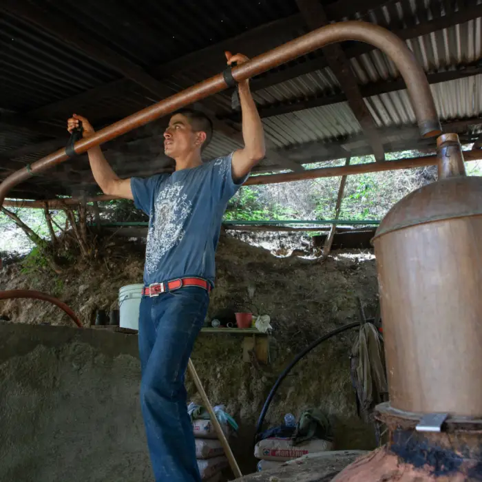 Productor supervisa el equipo de destilación artesanal utilizado en el procesamiento del agave dentro de una instalación rural.