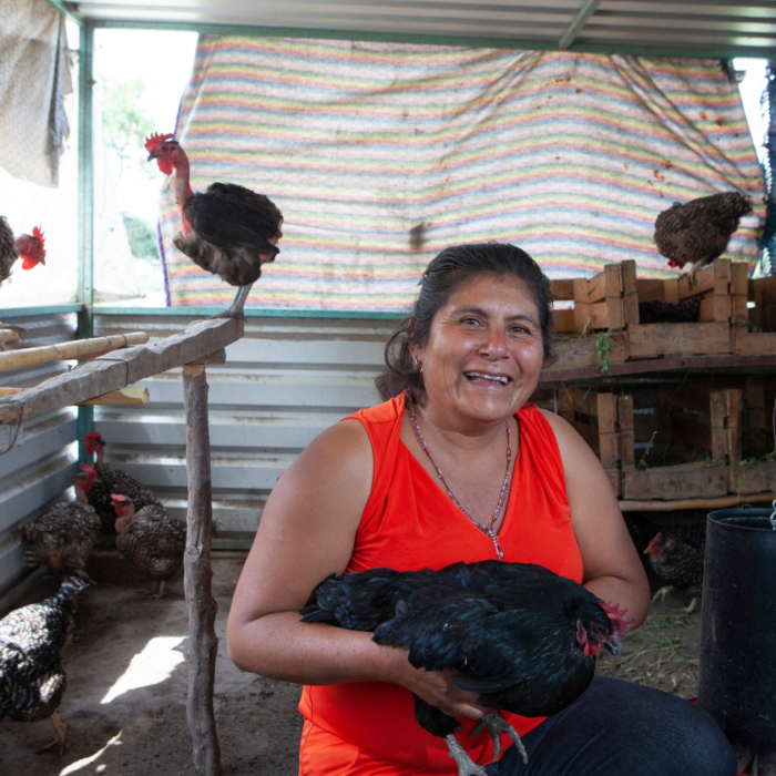 Productora sostiene una gallina dentro de un gallinero comunitario, rodeada de aves de traspatio como parte de un sistema de producción familiar sostenible.