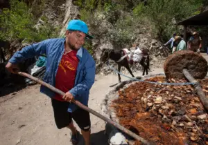 Productor remueve material vegetal durante el proceso artesanal de transformación del agave en una instalación tradicional de producción.