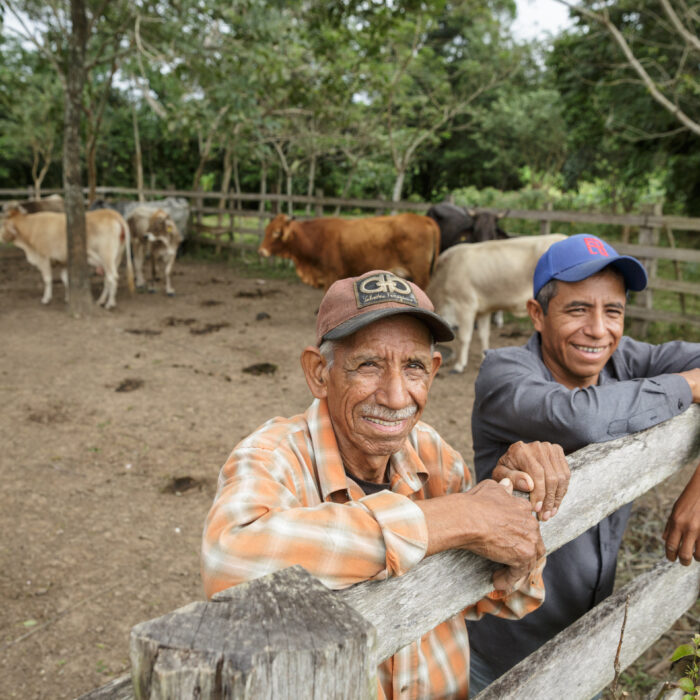 Dos productores ganaderos junto a un corral con ganado bovino, representando el trabajo colaborativo para fortalecer la producción pecuaria sostenible.