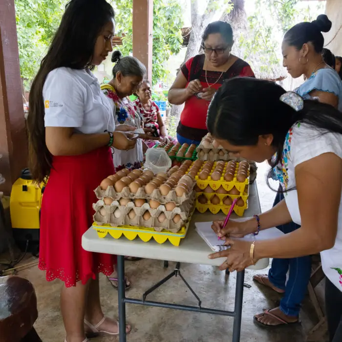 Mujeres productoras registrando y organizando la entrega de huevos durante una reunión comunitaria de comercialización.