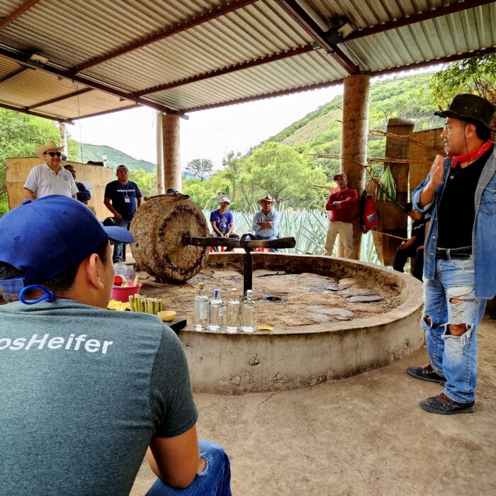 Productores de agave participan en una sesión de intercambio de conocimientos sobre prácticas sostenibles de manejo y restauración del paisaje agavero.