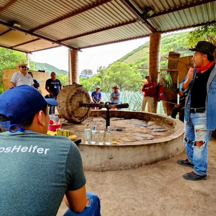 Productores de agave participan en una sesión de intercambio de conocimientos sobre prácticas sostenibles de manejo y restauración del paisaje agavero.
