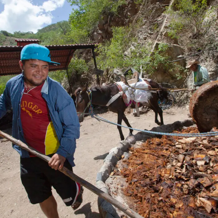 Productor trabaja con una tahona tradicional utilizada para procesar las piñas de agave en la elaboración artesanal de destilados.