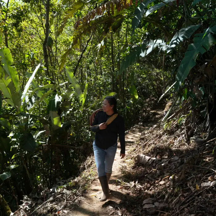 Productora caminando por un sendero rodeado de vegetación en una comunidad cafetalera.